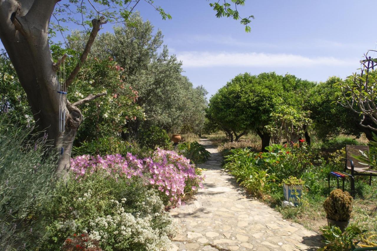 Phlea Farm Studios 알린다 외부 사진